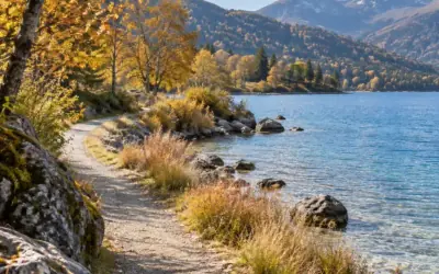 An autumn lakeside landscape for a campaign article